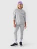 4F Hoodie in Grau