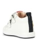 Geox Leder-Sneakers "Biglia" in Weiß