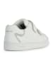 Geox Sneakers "Eclyper" in Weiß