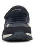 Geox Sneakers "Alfier" in Dunkelblau