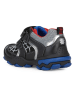 Geox Sneakersy "Buller" ze wzorem