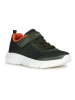 Geox Sneakers "Aril" in Khaki