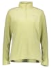 Helly Hansen Fleecepullover "Daybreaker" in Grün