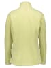 Helly Hansen Fleecepullover "Daybreaker" in Grün