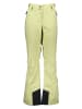 Helly Hansen Ski-/ Snowboardhose "Legendary" in Grün