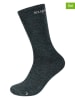 super.natural 2-delige set: sokken "All Day" zwart/groen