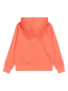 Champion Hoodie in Orange