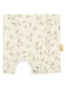 Steiff Spieler in Creme