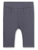 Sanetta Kidswear Spodnie w kolorze antracytowym