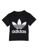 adidas Koszulka "Trefoil" w kolorze czarnym