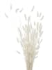Boltze 2-delige set: decoratieve takken wit/zwart - (H)70 cm