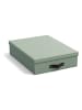 BigsoBox Dokumentenbox "Oskar" in Grün - (L)35 x (B)26 x (H)8,5 cm