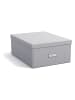 BigsoBox Sorteerbox "Katrin" lichtgrijs - (B)34,5 x (H)18,5 x (D)45 cm