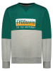 Tygo & Vito Sweatshirt donkergroen/grijs