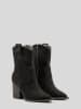 Bellucci Stiefeletten in Schwarz
