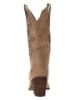 Belucci Stiefeletten in Braun