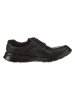 Clarks Leder-Schnürschuhe "Cotrell Edge" in Schwarz
