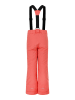 Dare 2b Ski-/ Snowboardhose "Outmove II" in Rot