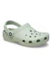 Crocs Crocs "Classic" in Grün