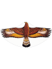 Günther Drache "STEINADLER" - (L)68 x (B)122 cm