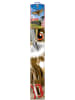 Günther Drache "EULE" - (L)68 x (B)122 cm
