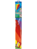 Günther Drache "CLASSIC" - (L)80 x (B)65 cm