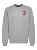 Sublevel Sweatshirt in Hellgrau