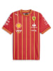 Puma Fußballtrikot "SF Team" in Rot