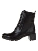 Ara Shoes Leder-Stiefeletten in Schwarz