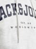 Jack & Jones Hoodie "Caleb" in Hellgrau
