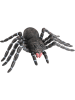 CHAKS Spinne in Schwarz - (B)46 x (H)28 cm