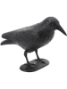 CHAKS Decoratief object "Raven" zwart - (B)32 x (H)20 cm