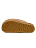 BABUNKERS Family Clogs in Beige