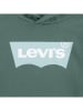 Levi's Kids Hoodie in Grün