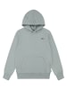Levi's Kids Hoodie in Grau