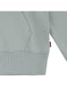 Levi's Kids Hoodie in Grau