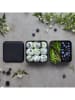 Monbento Lunchbox in Schwarz/ Creme - 1,7 l