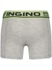 Vingino 7er-Set: Boxershorts in Bunt