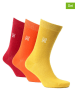 Norfolk 6er-Set: Socken in Rot/ Orange/ Gelb