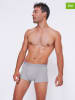 Sloggi 6er-Set: Boxershorts in Hellgrau