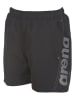 Arena Badeshorts in Schwarz
