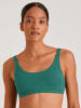 Calida Bustier in Grün
