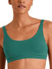 Calida Bustier in Grün