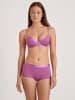 Calida Panty in Lila