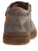 Naturino Leren sneakers "Albus" taupe