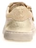 Naturino Leder-Sneakers "Faluk" in Beige/ Gold