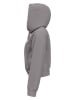 Under Armour Hoodie in Grau