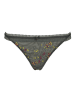 LASCANA Stringi w kolorze khaki