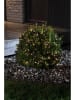 Konstsmide Ledlichtketting "Cluster" warmwit