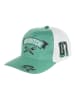 Harry Potter Pet "Harry Potter" groen